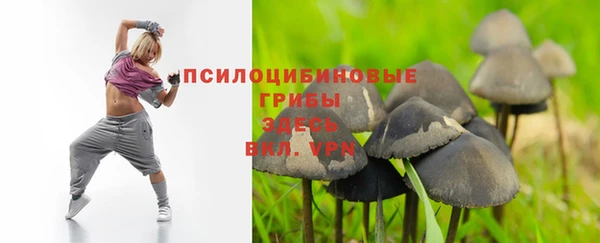 mdpv Гусиноозёрск