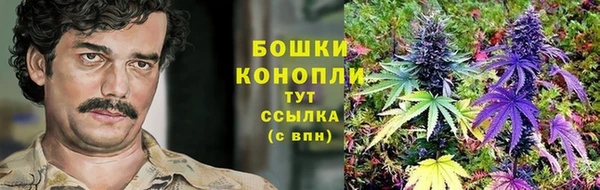 spice Гусь-Хрустальный